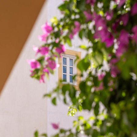 Bed and Breakfast Casa Morgado Esporao Évora Exteriér fotografie